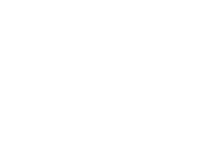 Powerful Fix Logo